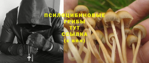 трава Алексин